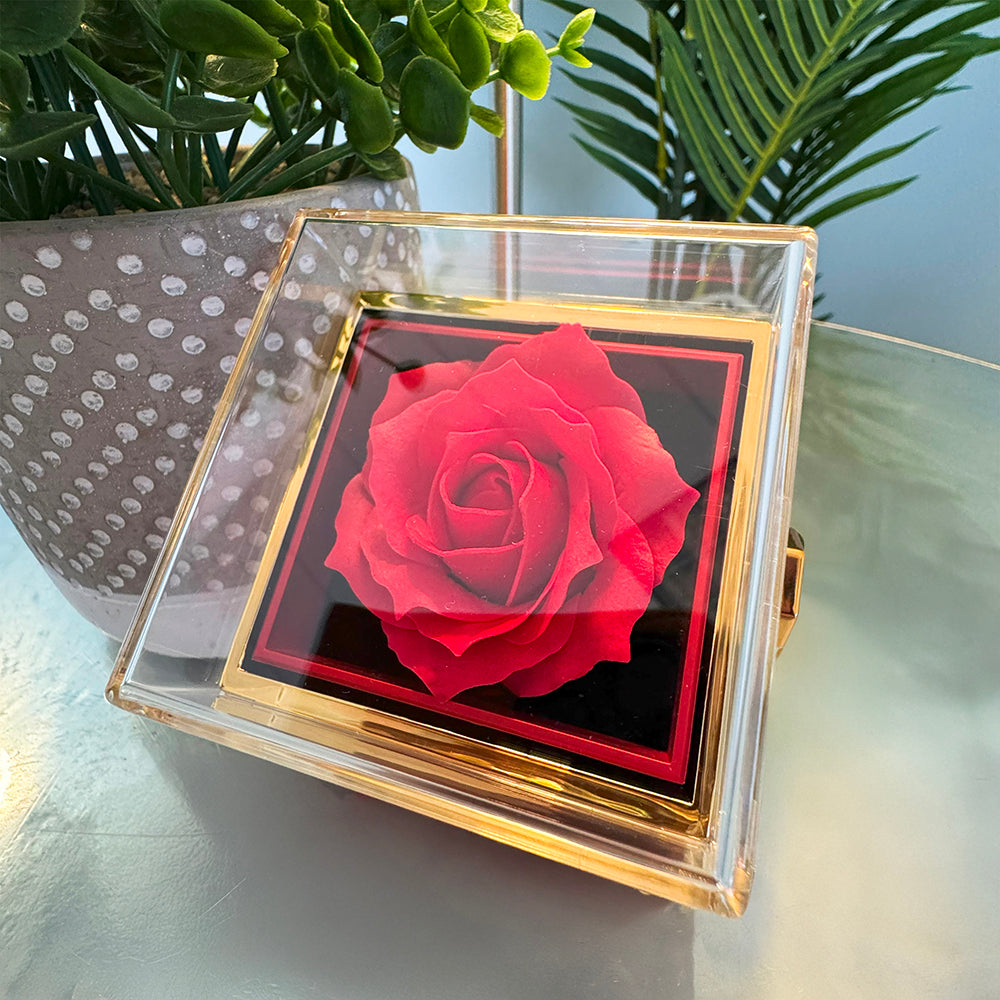 To My Gorgeous Wife Alluring Beauty with Rotating Rose Gift Box
